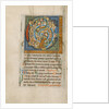 Inhabited Initial C by Anonymous