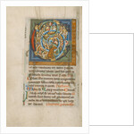 Inhabited Initial C by Anonymous