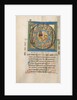 Initial D: The Lion of Judah by Anonymous