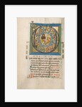 Initial D: The Lion of Judah by Anonymous