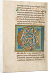 Inhabited Initial C by Anonymous