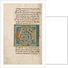 Inhabited Initial C by Anonymous