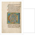 Inhabited Initial C by Anonymous