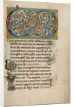 Inhabited VD Monogram by Anonymous