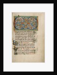 Inhabited VD Monogram by Anonymous
