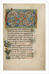 Inhabited VD Monogram by Anonymous