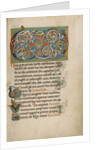 Inhabited VD Monogram by Anonymous