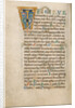 Decorated Initial T by Anonymous