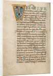 Decorated Initial T by Anonymous