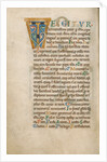 Decorated Initial T by Anonymous