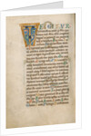 Decorated Initial T by Anonymous