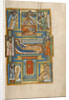 The Nativity by Anonymous