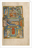 The Nativity by Anonymous