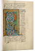 Decorated Initial R by Anonymous