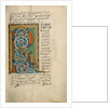 Decorated Initial R by Anonymous