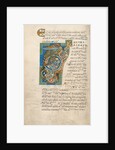 Decorated Initial T by Anonymous