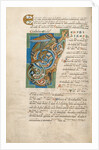 Decorated Initial T by Anonymous
