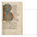 Inhabited Initial B by Anonymous