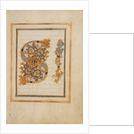 Inhabited Letters SI by Anonymous