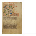 Inhabited Initial Q by Anonymous