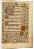 Decorated Initial C by Anonymous