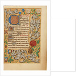 Decorated Initial C by Anonymous