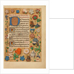 Decorated Initial D by Anonymous