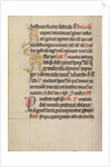 Decorated Text Page by Anonymous