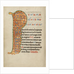 Inhabited Initial P by Anonymous