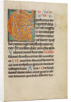Decorated Initial C by Anonymous
