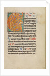 Decorated Initial C by Anonymous