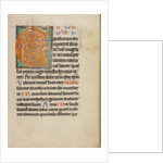 Decorated Initial C by Anonymous