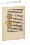 Decorated Initial E, Decorated Initial D by Anonymous