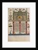 Decorated Incipit Page by Malnazar