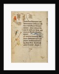Decorated Text Page by Nicolas Spierinc