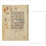 Decorated Text Page by Nicolas Spierinc