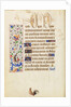 Decorated Text Page by Nicolas Spierinc