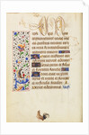 Decorated Text Page by Nicolas Spierinc