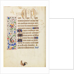 Decorated Text Page by Nicolas Spierinc