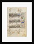 Decorated Text Page by Nicolas Spierinc