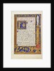 Decorated Text Page by Simon Bening