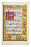 Decorated Text Page by Anonymous