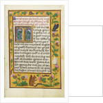 Decorated Text Page by Anonymous