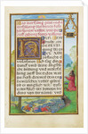 Border with David Pleading with God to End the Pestilence by Simon Bening