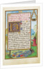 Border with David Pleading with God to End the Pestilence by Simon Bening