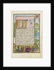 Border with the Arrest of Achior by Simon Bening