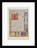 Border with Micaiah Foretelling the Death of King Ahab by Simon Bening
