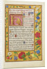Decorated Text Page by Anonymous
