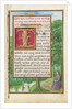 Border with Christ in the Wilderness by Simon Bening