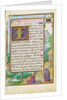 Border with Elijah Raising the Son of the Widow of Sareptha by Simon Bening